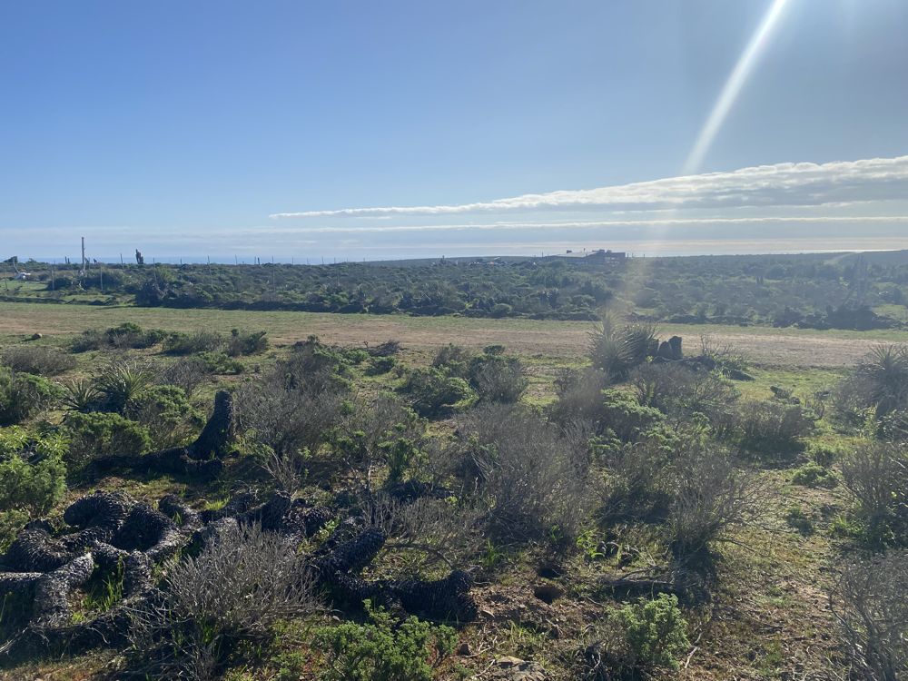 Casa en el campo para compartir en Ovalle — Busco Roomie