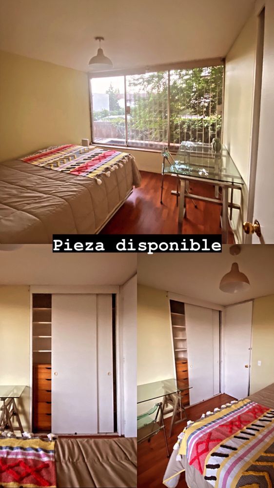 imagen publicacion