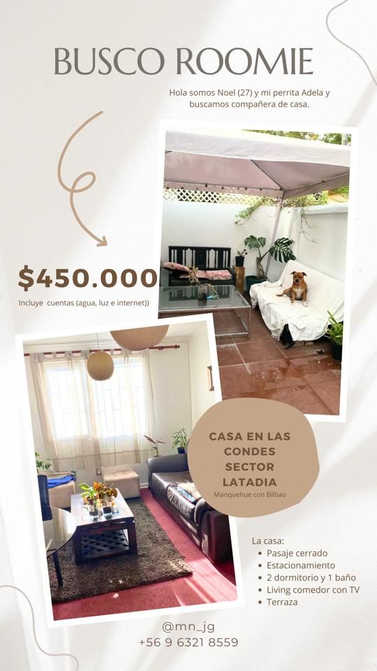 imagen publicacion