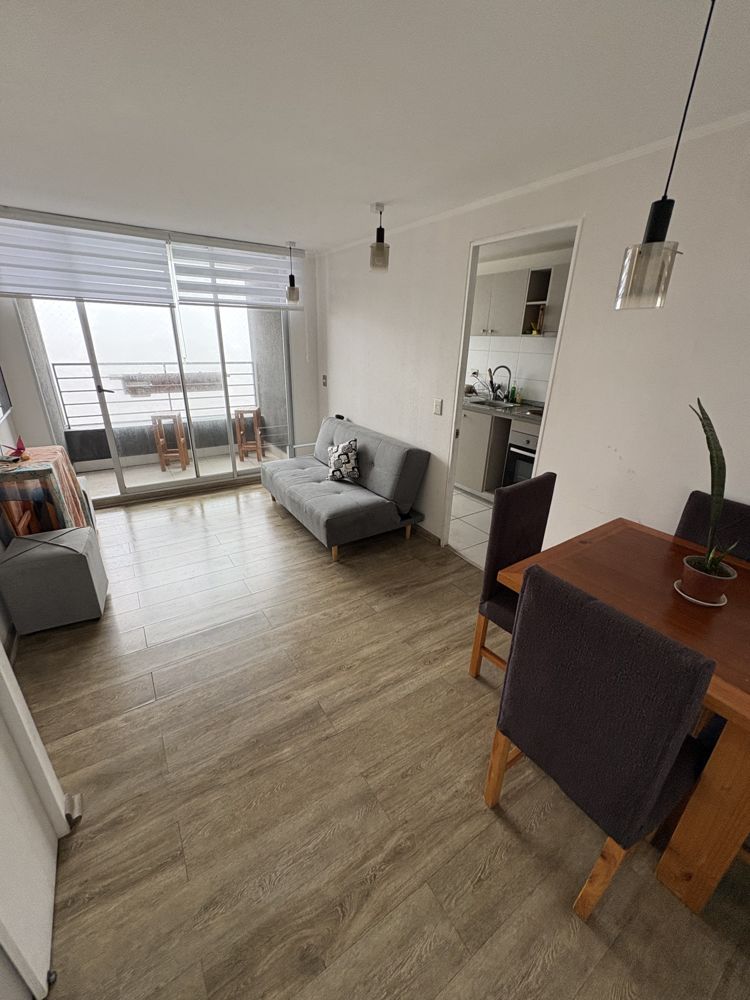 Busco roomie(mujer) en Valparaiso — Busco Roomie