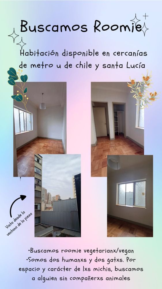 imagen publicacion