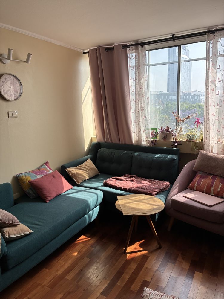 Roomie metro baquedano en Santiago — Busco Roomie