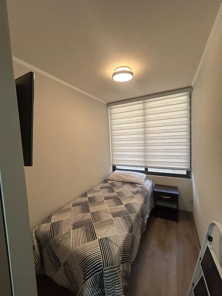 Busco roomie mujer disponibilidad desde julio 2026 en Santiago — Busco Roomie