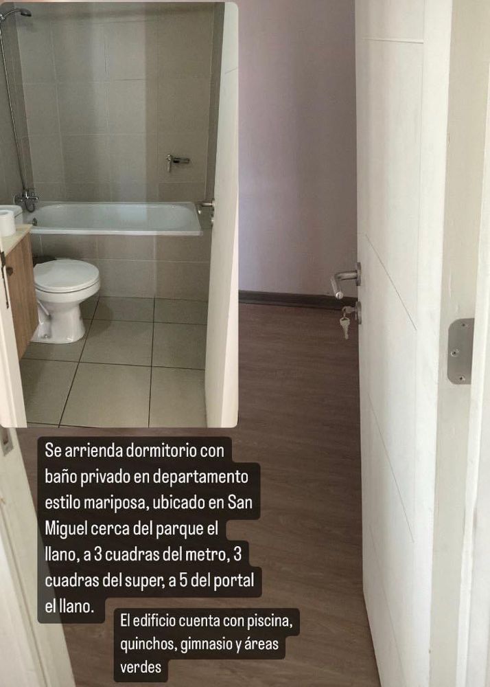 imagen publicacion