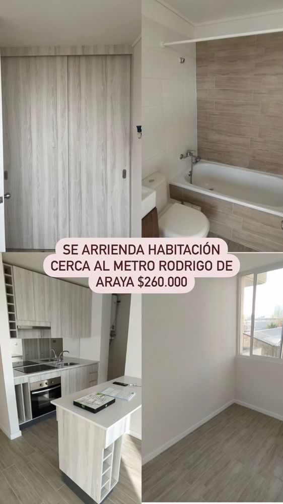 imagen publicacion