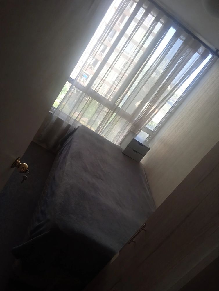 Busco romie varon joven tranquilo no drogas no fume  lgtb que trabaje en La cisterna — Busco Roomie