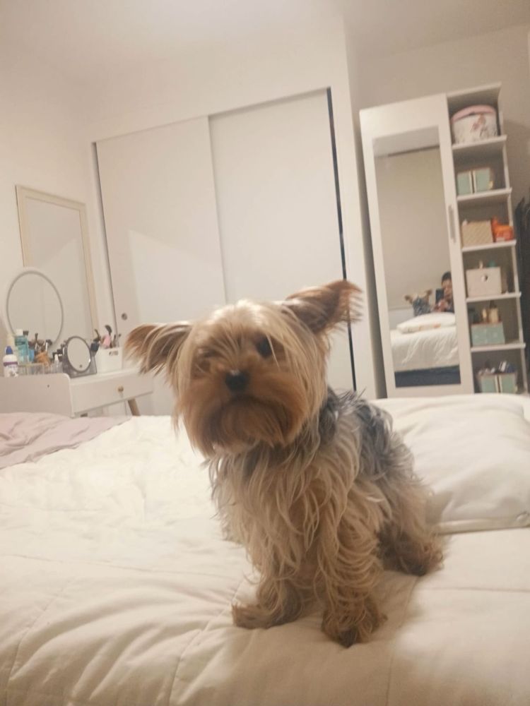 Habitación linda y barata la florida en La florida — Busco Roomie