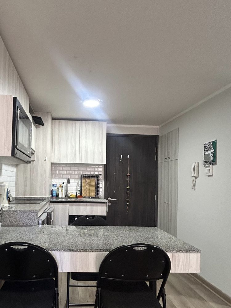 Busco roomie mujer disponibilidad desde julio 2026 en Santiago — Busco Roomie