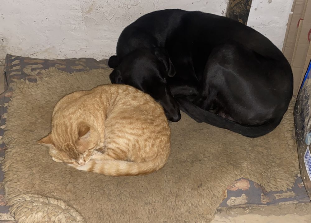 Casa en el campo para compartir en Ovalle — Busco Roomie