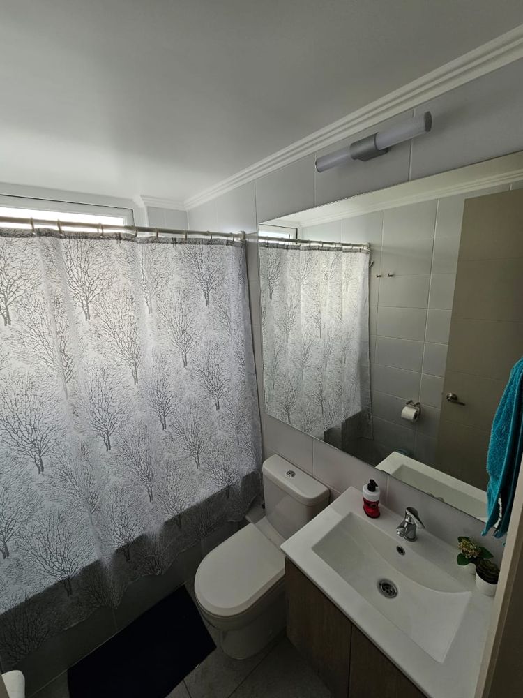 Se buscan roomies mujeres solamente, departamentos nuevos en Vina del mar — Busco Roomie