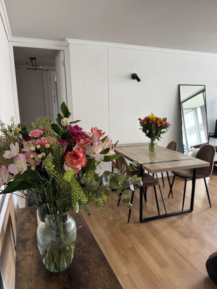 Roomie mujer en Las condes — Busco Roomie