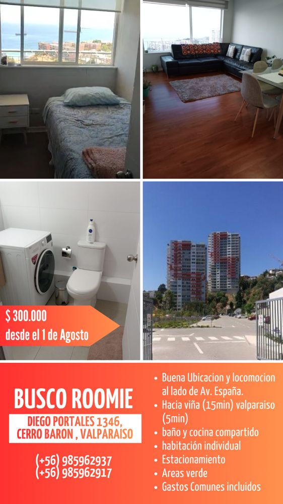 Busco rommie con buena locomocion a viña y valpo en Valparaiso — Busco Roomie