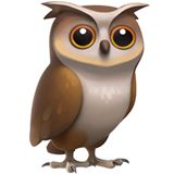 Foto de perfil de Ilef — Roomie en Busco Roomie