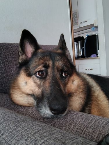 foto perfil