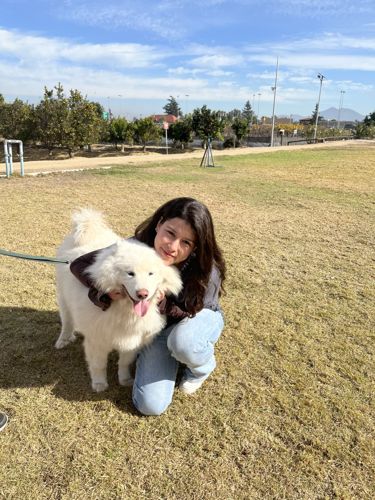 Foto de perfil de Gabi — Roomie en Busco Roomie