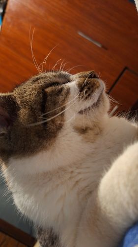 Foto de perfil de Mg — Roomie en Busco Roomie