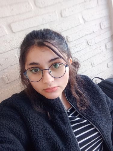 foto perfil