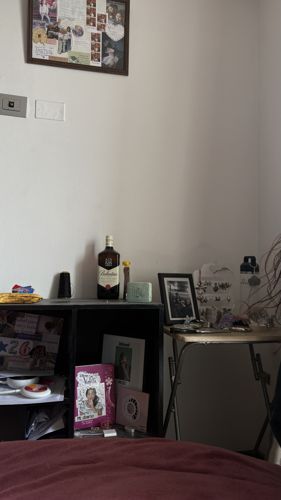Foto de perfil de Allidiiaz — Roomie en Busco Roomie