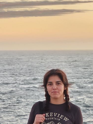 foto perfil