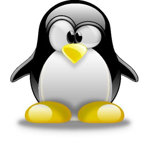 Imagen de perfil de la otra persona