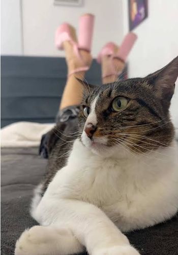Foto de perfil de Valentina — Roomie en Busco Roomie