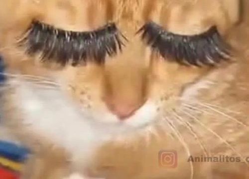 Imagen de perfil de la otra persona