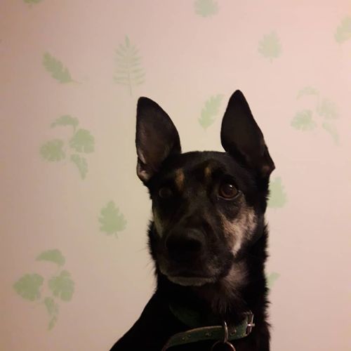 Foto de perfil de Taira — Roomie en Busco Roomie
