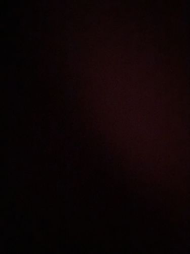 Foto de perfil de Catalina — Roomie en Busco Roomie