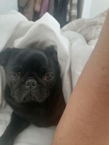 Foto de perfil de Viviana — Roomie en Busco Roomie