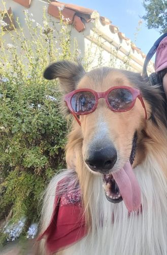 Foto de perfil de Macarena — Roomie en Busco Roomie