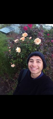 Foto de perfil de Javier — Roomie en Busco Roomie